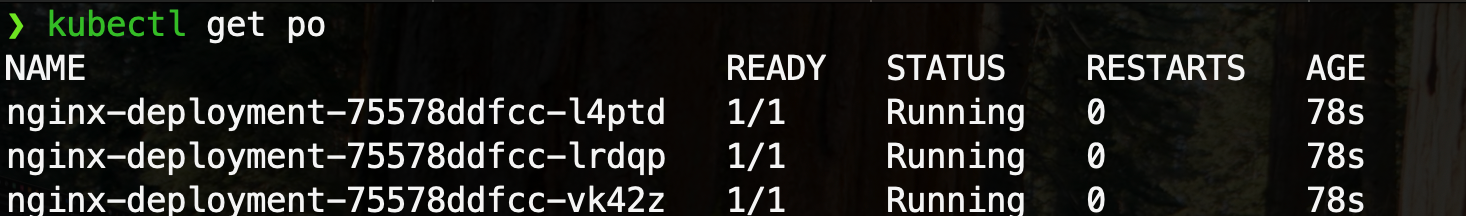 1157397-20241027212442023-50067430